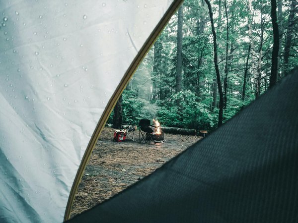 L'Influence Essentielle des Agences de Voyages sur l'Épanouissement du Tourisme Durable